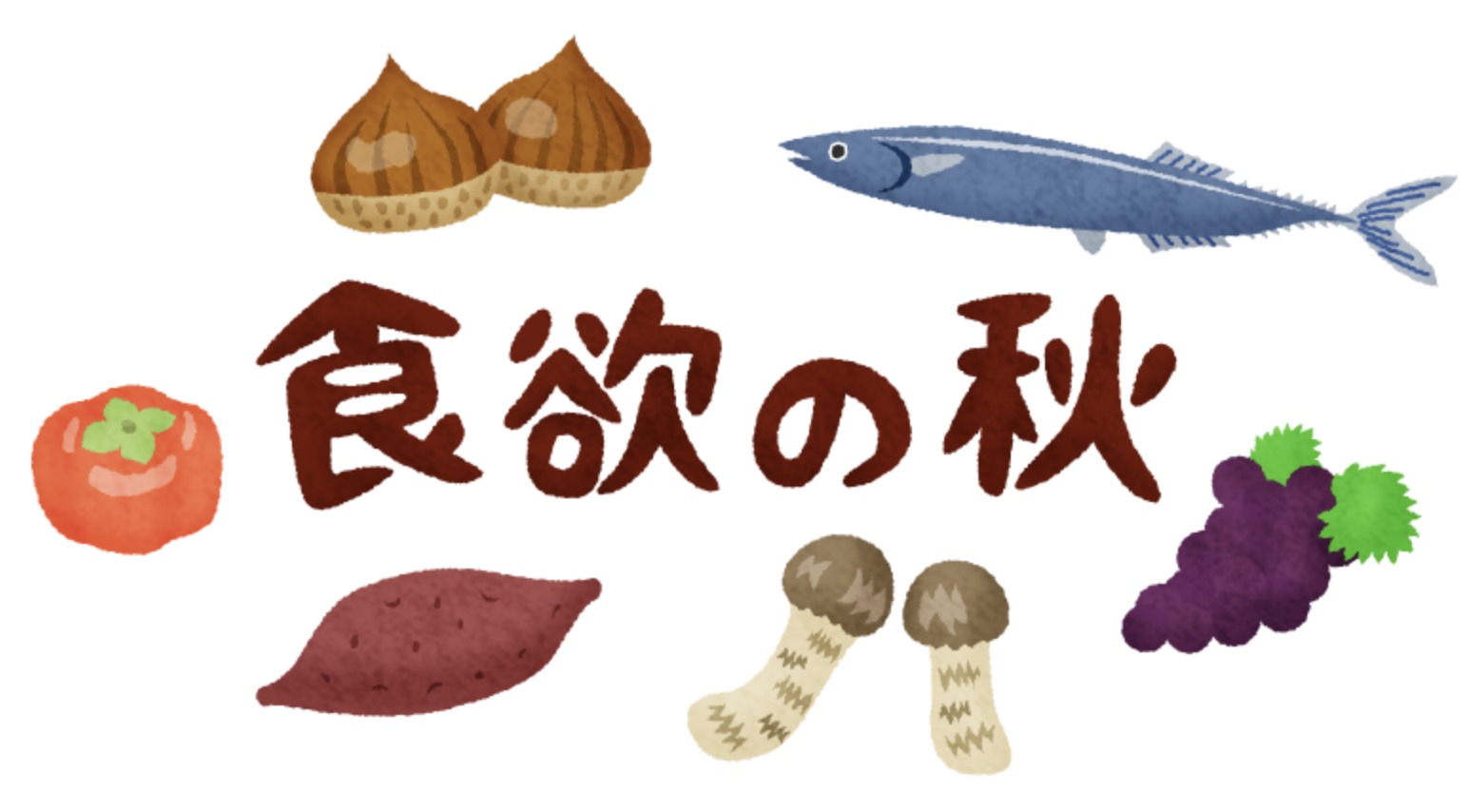 たまプラーザテラス 〇〇な秋新商品紹介 無印良品