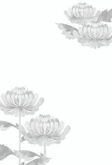 喪中 菊 はがき 背景のイラスト素材79654945- PIXTA