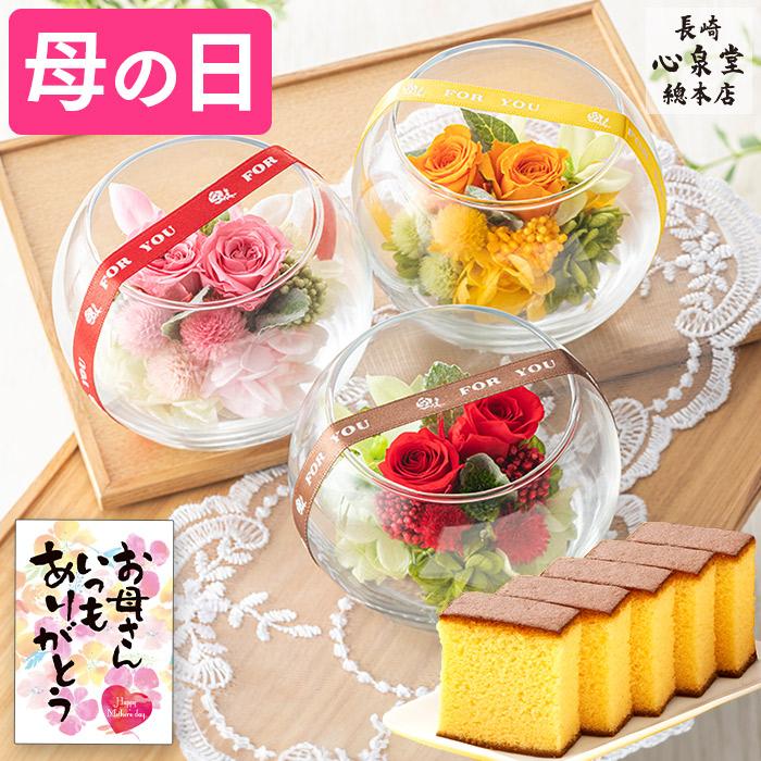 母の日 花とスイーツ 花 鉢植え カーネーション 花鉢 プレゼント お菓子 スイーツお父さんお母さんに贈りたい,お母さんに感謝の気持ちを安心と感動を送る！フラワーギフト 花のギフト社