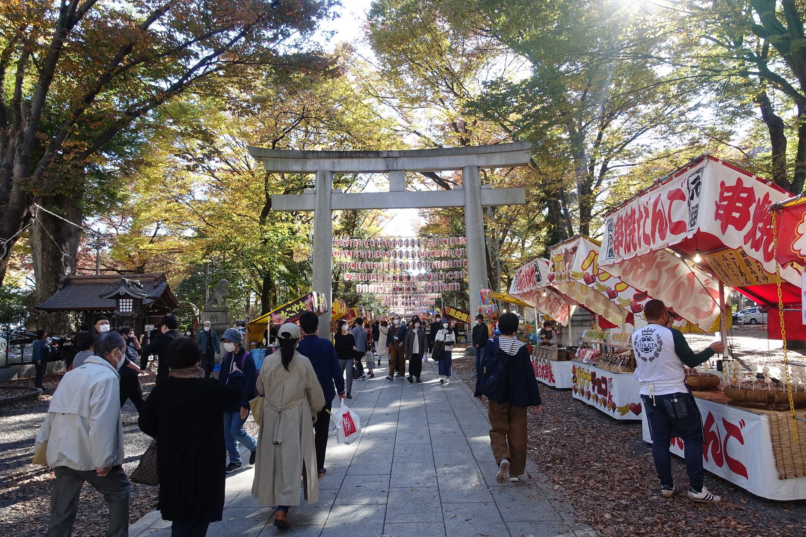 府中市 大國魂神社の酉の市～さくらゆかりのマイページ