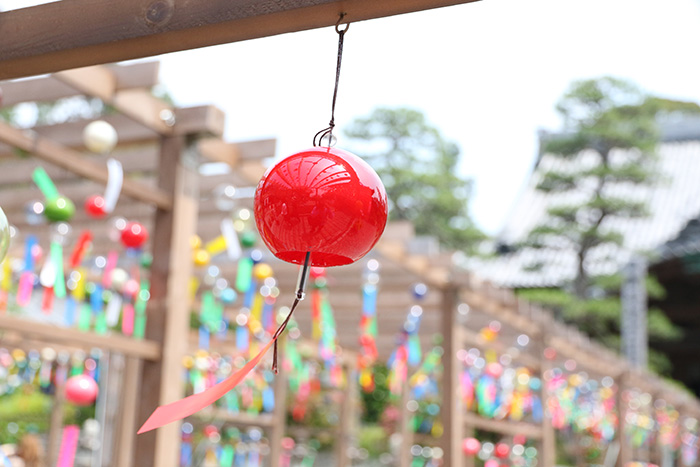 正寿院 風鈴まつりイベントお茶の京都京都府南部 山城地域 の観光情報
