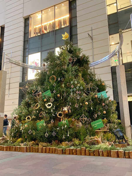 クリスマスを彩る寄せ植えの作り方初心者でもすぐにできる方法や管理のポイントを紹介コーナンTips