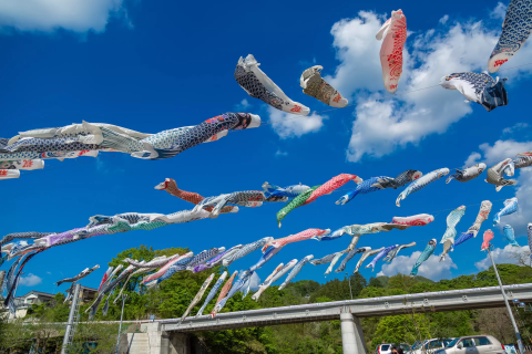 本牧神社, 気持ちよさそうに泳いでる鯉のぼりたち🎏, 📍本牧神社, 神奈川県横浜市中区本牧和田19,𓂃𓈒𓏸𓂃𓈒𓏸𓂃𓈒𓏸𓂃𓈒𓏸𓂃𓈒𓏸𓂃𓈒𓏸𓂃𓈒𓏸𓂃𓈒𓂃𓈒𓏸𓂃𓈒𓏸𓂃𓈒𓏸𓂃𓈒,本牧神社こどもの日🎏鯉のぼりがいっぱい横浜観光スポット横浜フォトスポットみなとみらい線フォト散歩旅好き女子タビジョラグジュアリー旅旅好きな人と繋がりたいトラベルライター