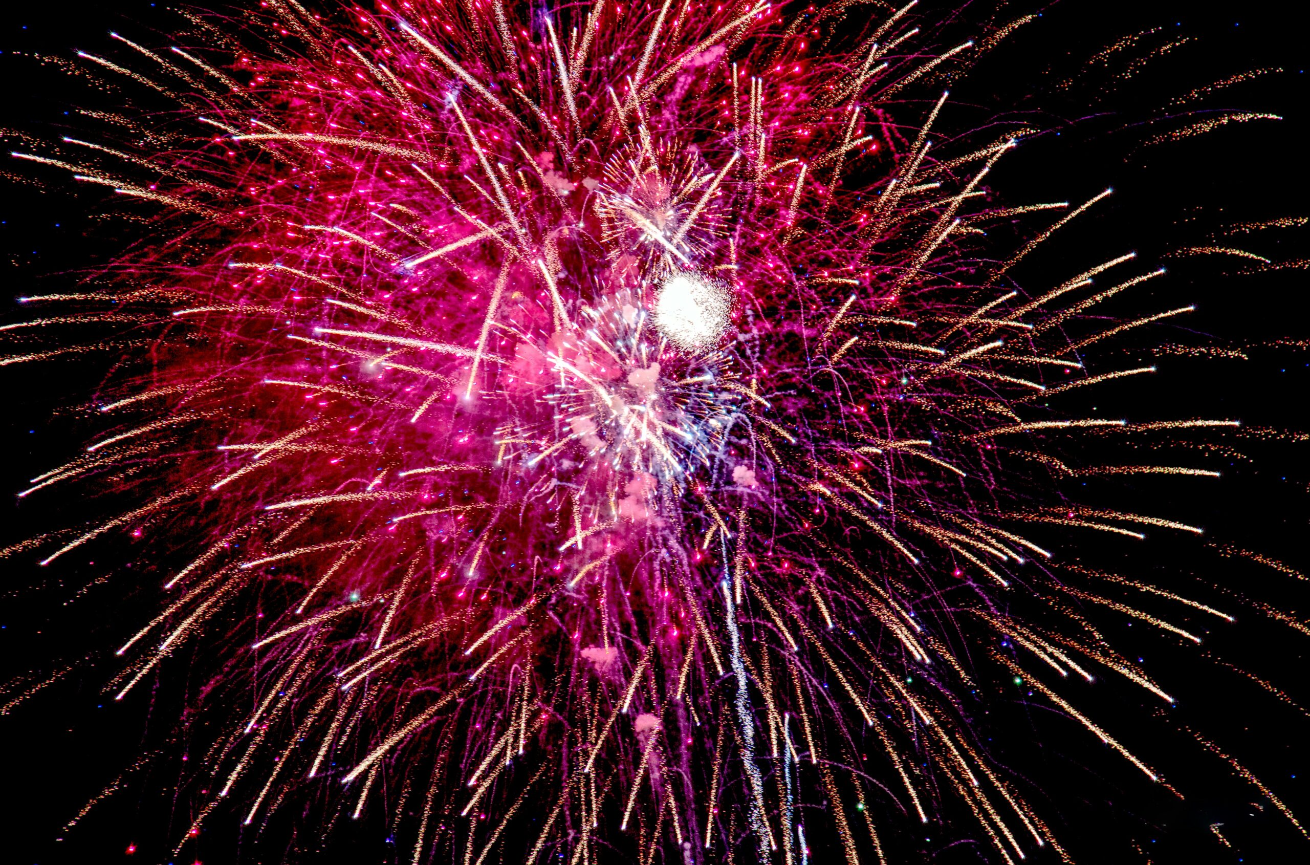 2025年年賀状 『アオのハコ』 2025年年賀状 『アオのハコ』 - メルカリ