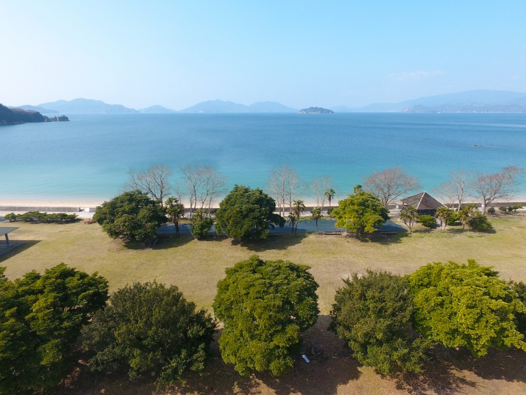 ワッハハハハハ～の大笑い海水浴場』 SONY α99 SLT-A99V ボディ のクチコミ掲示板 - 価格.com