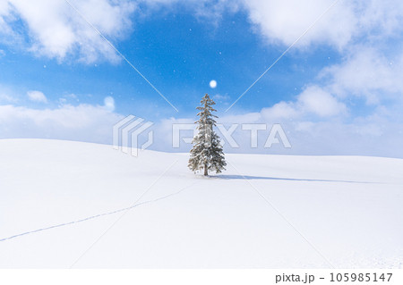 三浦奈津美さんの投稿北海道美瑛町にあるクリスマスツリーの木、全国的に有名木でもある木 ですが、四季をとおして人気があり、雪の降るこの日その名の通り、多くの観光客に囲まれて、クリスマスの雰囲気演出してくれてました📸😊 オンラインGoToトラベル観光