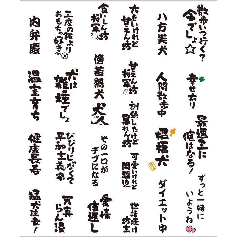 ボード「笑える誕生日メッセージ」に最高のアイデア 52 件 2025笑える誕生日メッセージ, 誕生日 画像 おもしろ, 誕生日画像