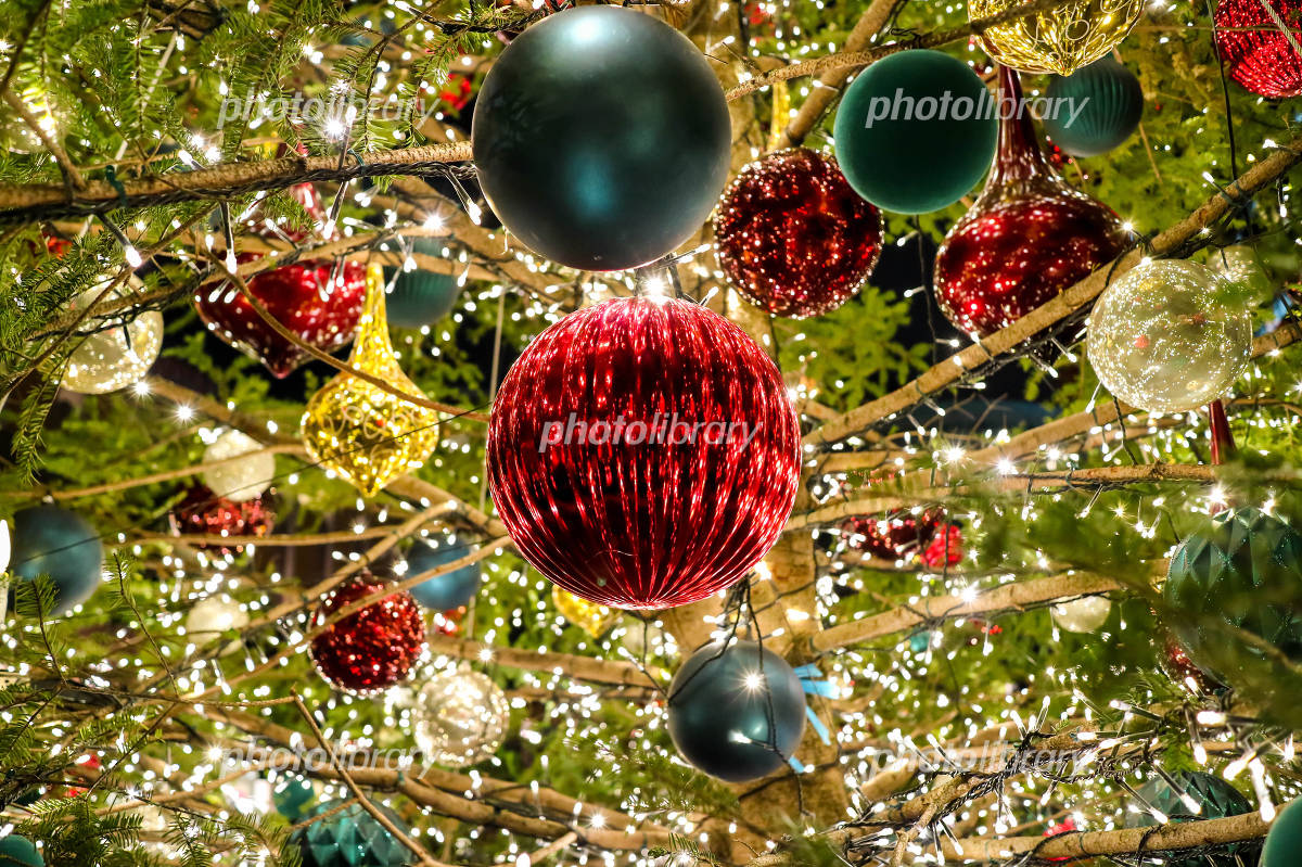 Botanist9ニューヨークを彩る世界最大級のクリスマスツリーを支える人たち - NOEVIR BOTANICAL LIFE ノエビアボタニカルライフ- TOKYO FM 80.0MHz