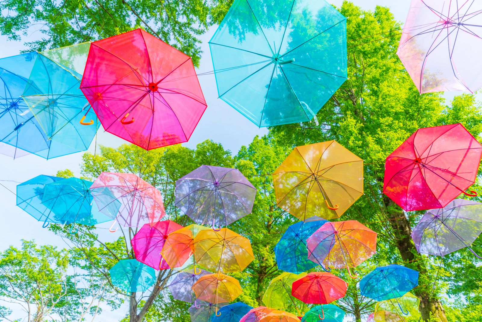 金城祭！ビジネス1B模擬店もぎたてORANGE