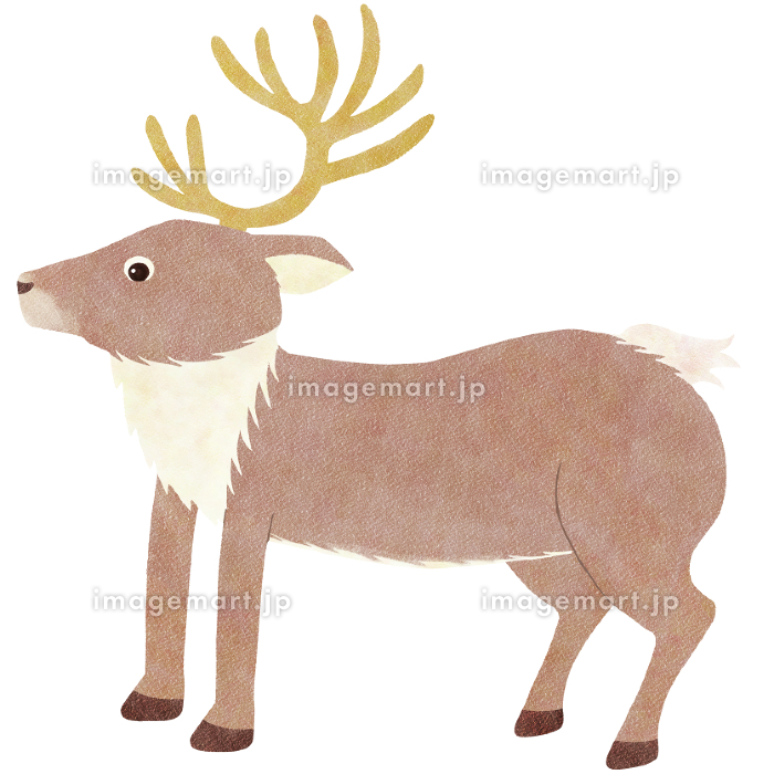 8,669 トナカイ High Res Illustrations - Getty Imagesクリスマス, サンタクロース, 雪