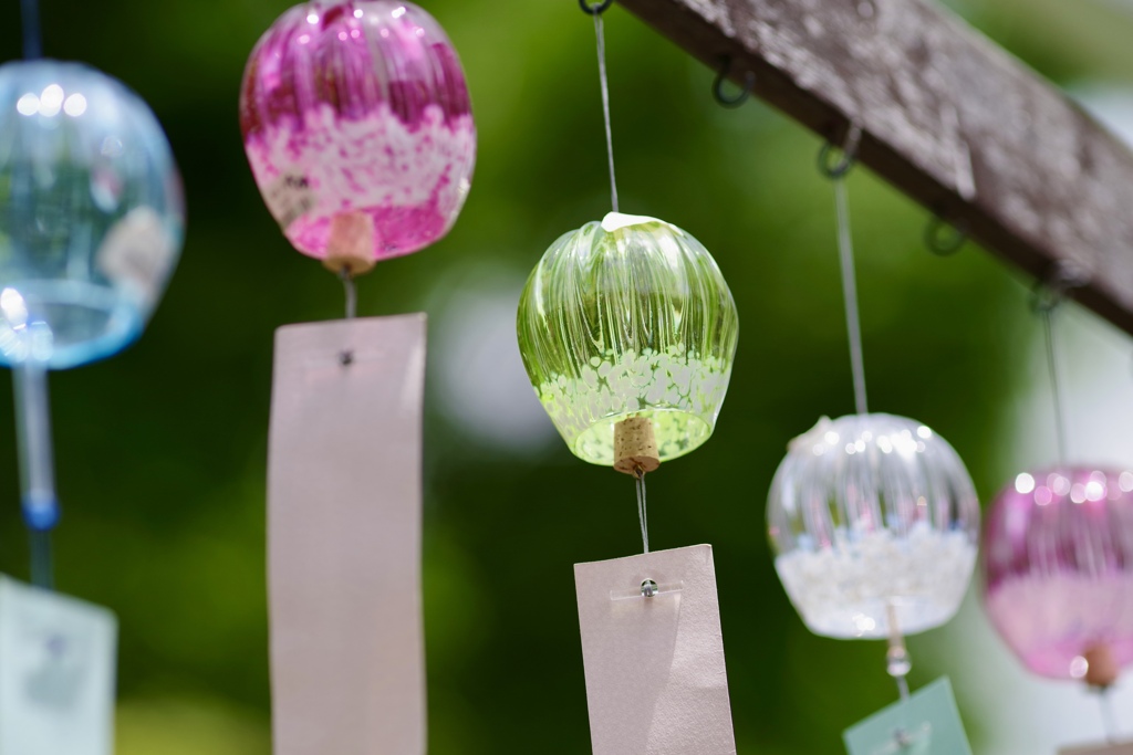 夏の風物詩アートの輪