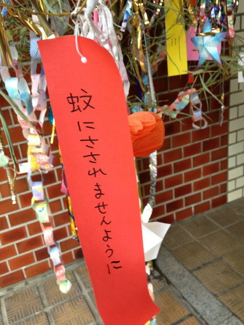 七夕の夜に願いを: ぷれぜんと～学生パパの子育て奮闘日記～