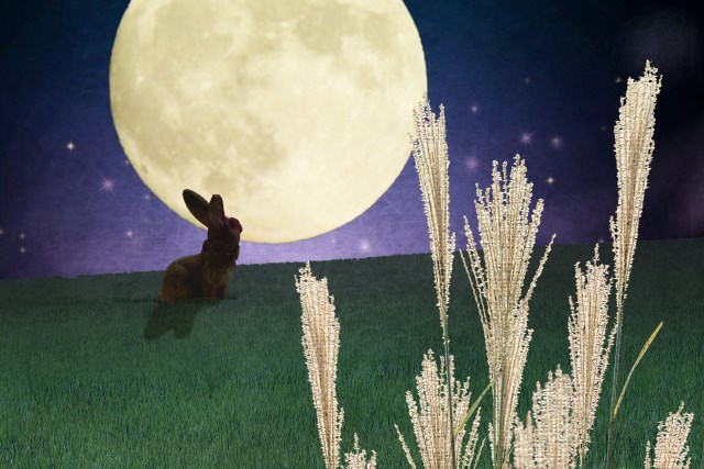 3COINS『お月見・十五夜』シリーズまとめ！最新は2025年秋に置物やインテリア、子供用コスチューム、うさぎ雑貨も種類豊富に8 25より新発売