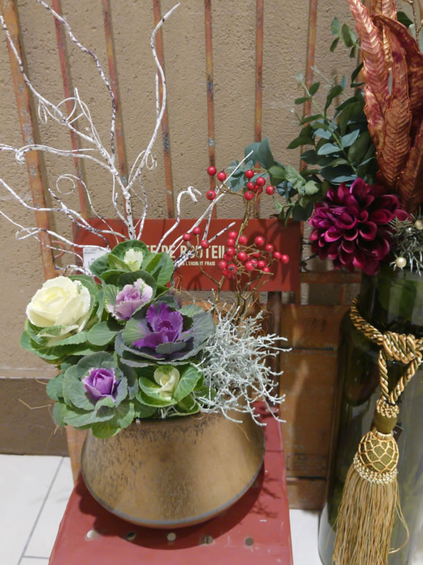 先行予約花 葉牡丹 ハンギング リース 寄せ植え お正月 迎春 冬 季節 ガーデン ガーデニング 庭 贈答