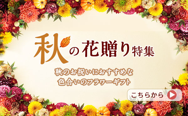 友達の誕生日にも！かわいいメッセージカードの作り方 高校生なうスタディサプリ進路 高校生に関するニュースを配信