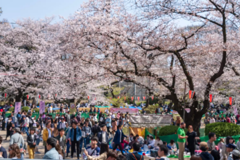 上野公園の桜まつり2025屋台は何時まで？時間や場所,ライトアップ,混雑状況も！うちの家族