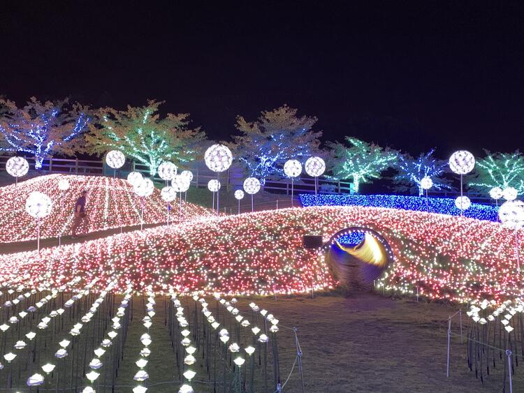 初夢フェア2023 心躍る煌めきの世界へ！関西最大級のローザンイルミ♪～近江牛鉄板焼きランチ＆びわ湖アフタヌーンティークルーズ格安ベストワンバスツア