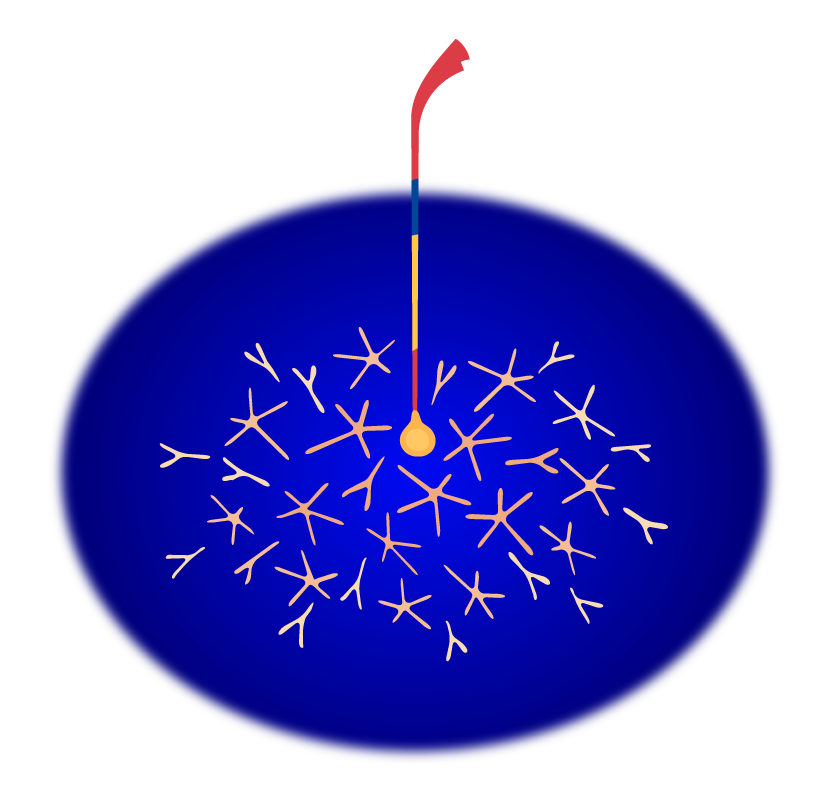 カラフル花火：イラスト無料