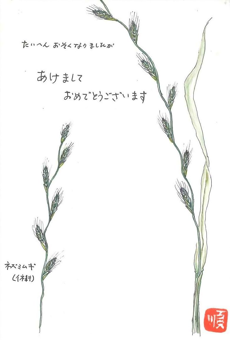 11月29日リビング福岡年賀状講座 午前 空席有ります : 大塚婉嬢-健康と書のある暮らし‐
