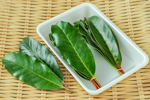 正月飾りの意味と正しい飾り方 - ウェザーニュース