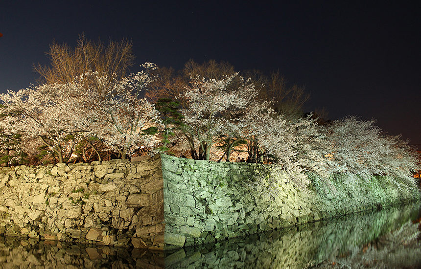 芸術の秋深まる 徳島中央公園で野外彫刻展 徳島2025年10月10日掲載 JRT NEWS NNN