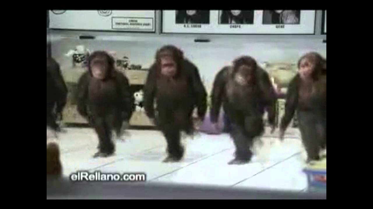 誕生日 動画 面白い アプリTikTok