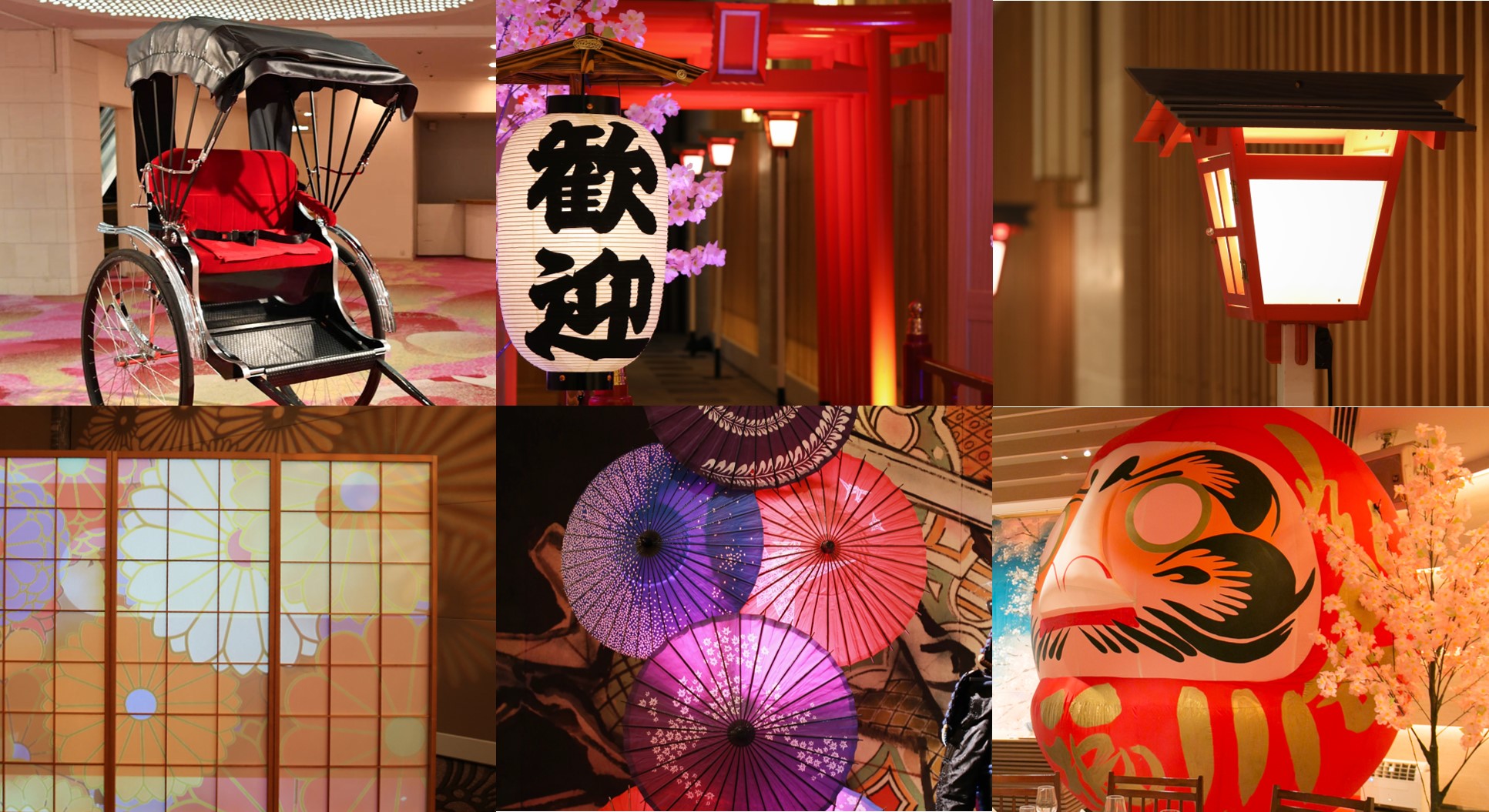 フラワーレンタル子だぬき工房イベント情報