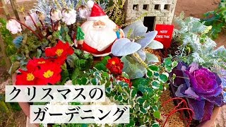 クリスマスの寄せ植えガーデニング教室DIYホームセンター ジャンボエンチョ