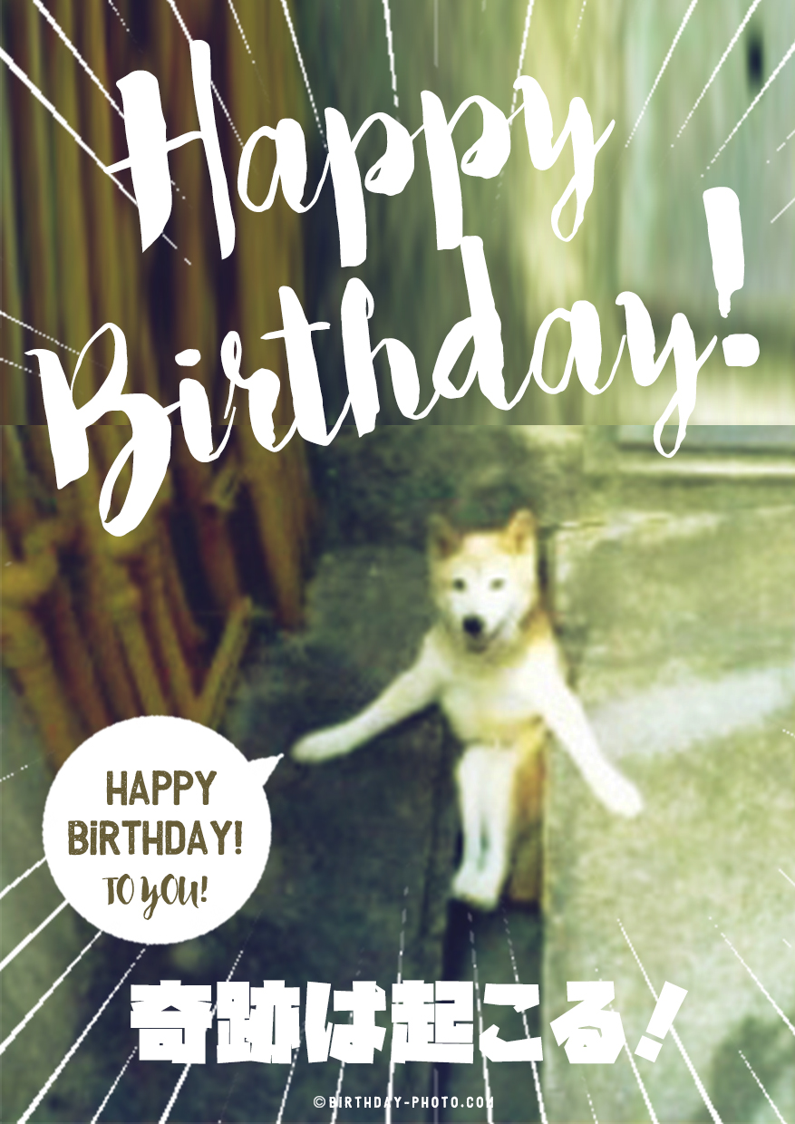 猫マニアの為のお誕生日お祝い画像