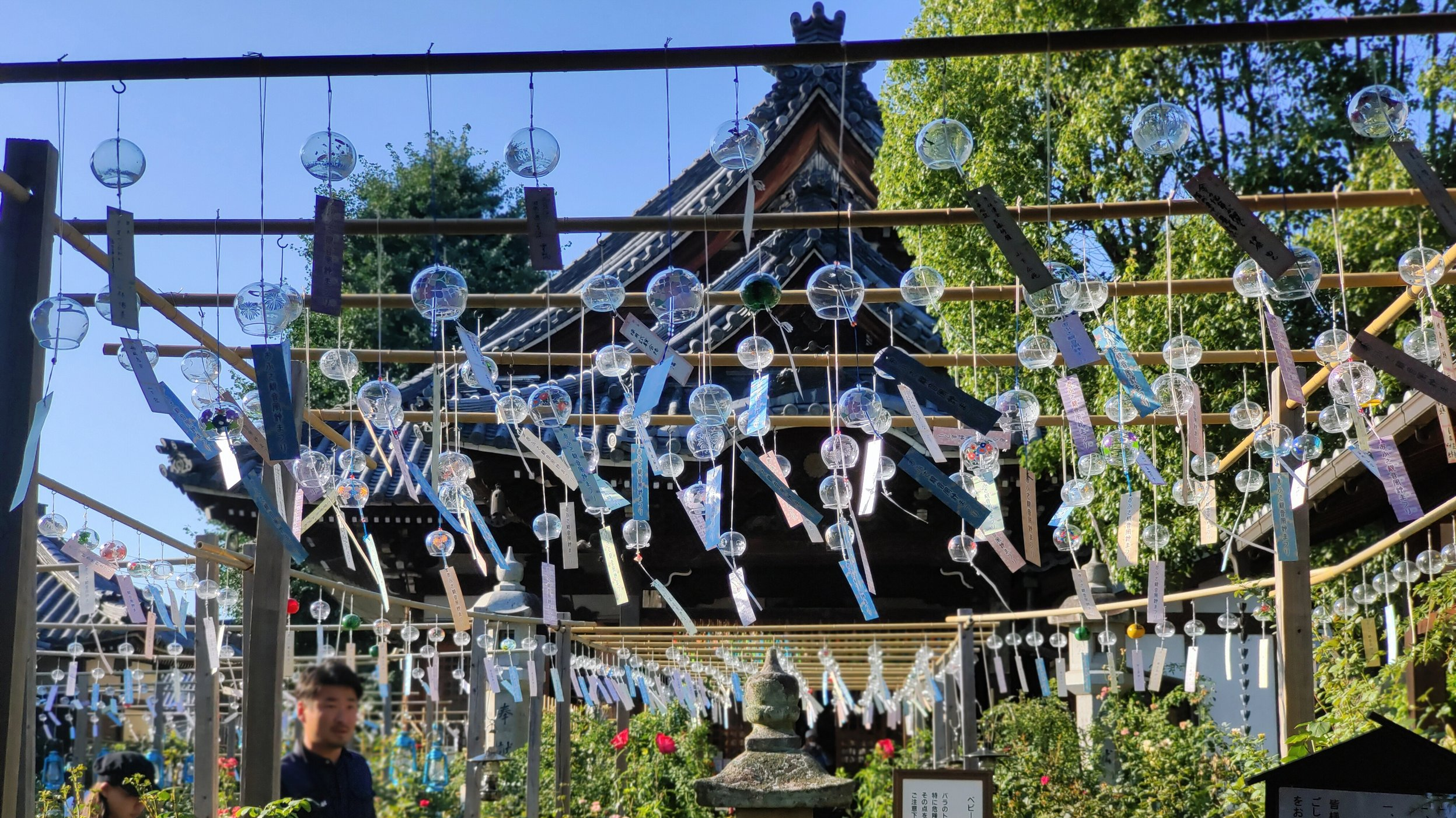 夏の夜に体験する幻想的な風鈴まつり🎐