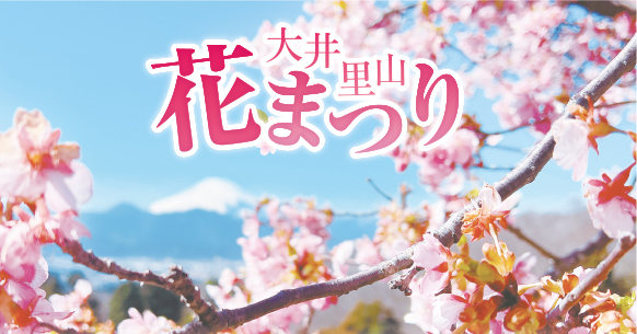 開成山公園桜祭りの花見2024の屋台出店露店はいつまで？営業時間やグルメ情報