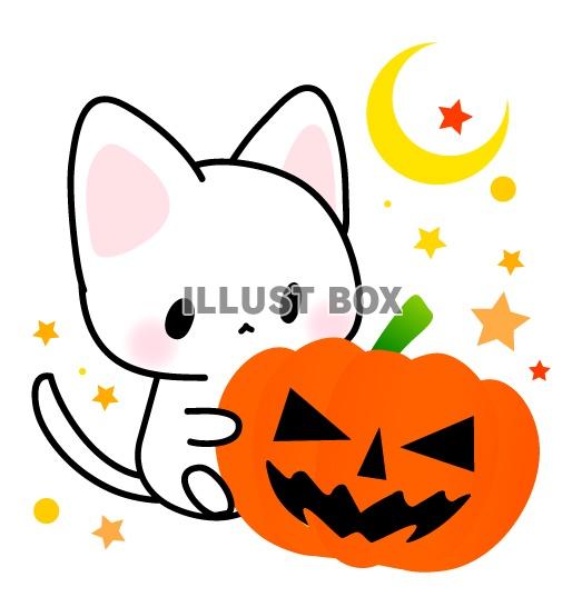 かぼちゃランタンとハロウィンパンダフリーイラストフリーイラストIroFuri・いろふり