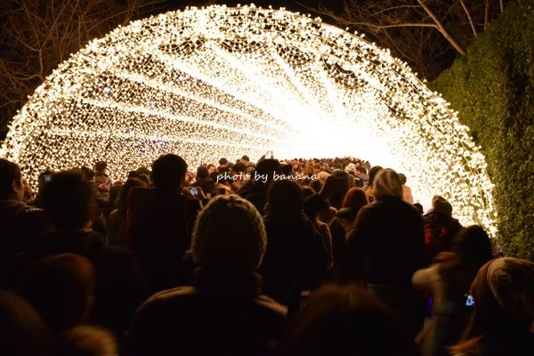 なばなの里イルミネーション2022‐2023！料金・期間・点灯時間などを解説します取材レポート観光三重 かんこうみえ