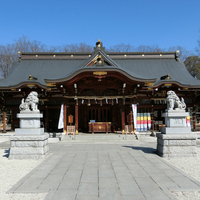 目の神様やアマビエ像も。歴史ある立川・諏訪神社への初詣であやかりたい勝負と商売繫盛のご利益 - 中央線が好きだ。web公式