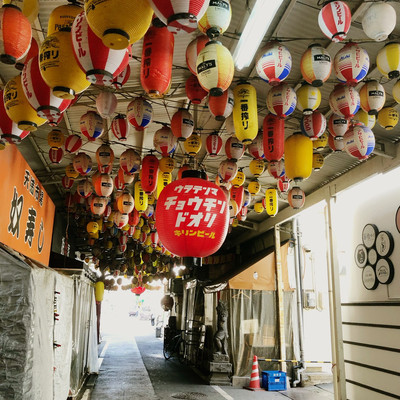 インスタ映え抜群の飲み屋街「裏天満ちょうちん通り」一面のちょうちんを撮りに行こうニシタビ