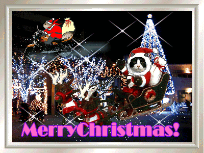 クリスマス動画カード23 メリークリスマス Merry Christmas