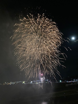 仕掛け花火の種類 - Genspark