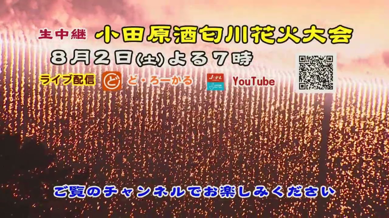 横浜の花火大会 8月 神奈川 2024年アクティビティジャパン