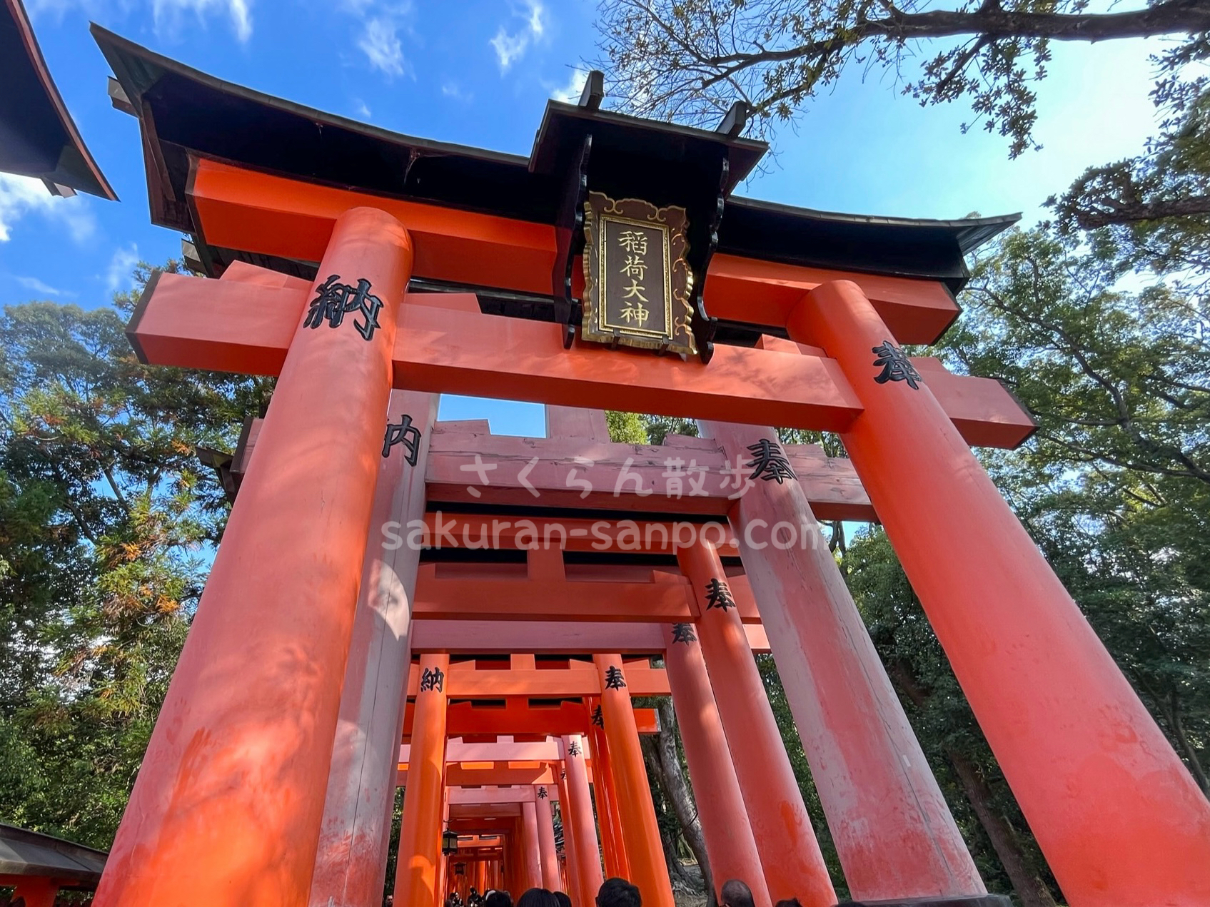 外国人はなぜ伏見稲荷神社を“クール”と感じるのかnippon.com