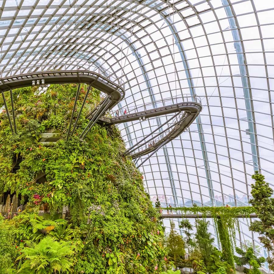 シンガポール・ガーデンズバイザベイ「ディズニーガーデンオブワンダー＠フローラルファンタジー」チケット