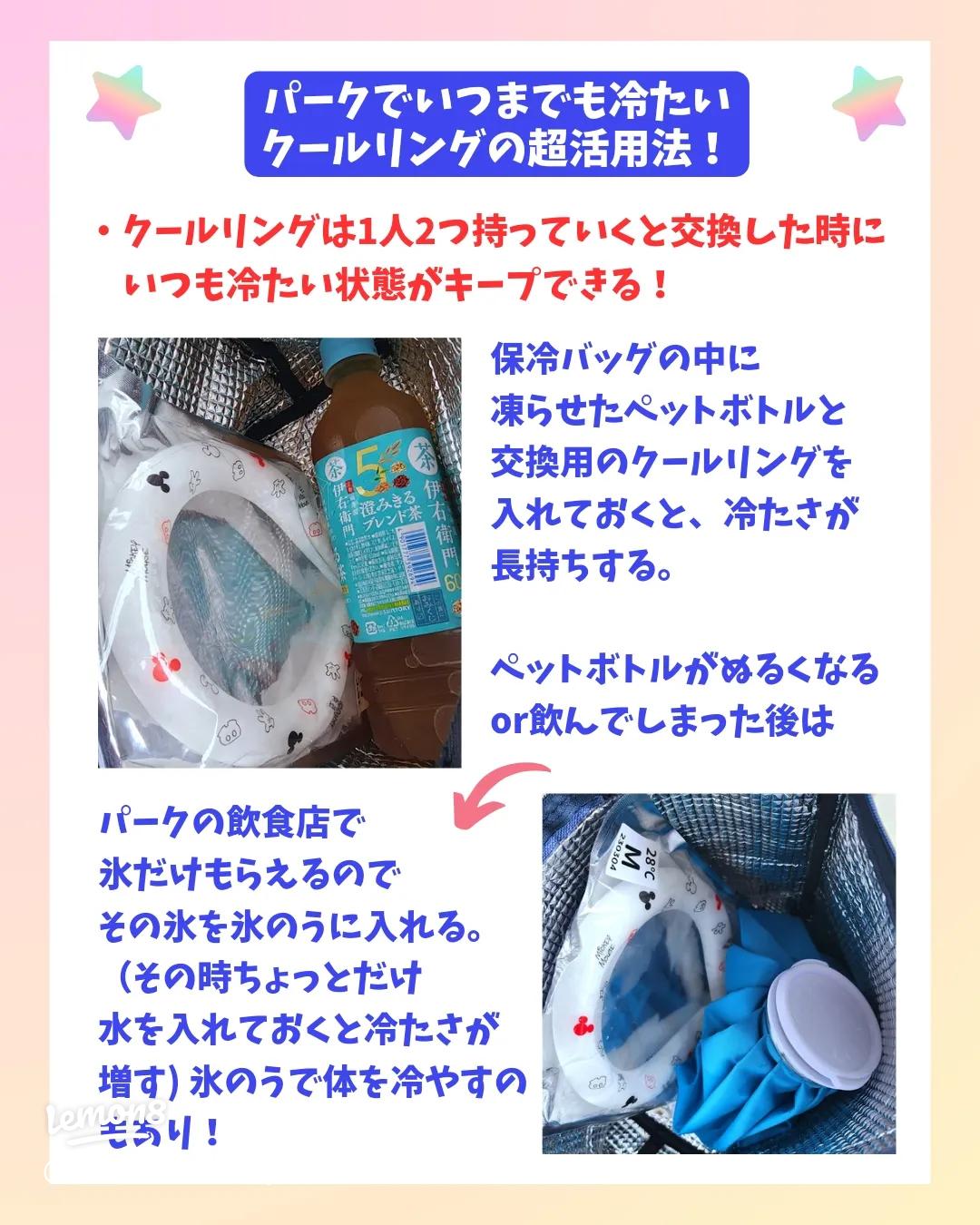 2025 子連れ夏ディズニーの持ち物リスト！暑さ対策で熱中症予防をしよう！ 7月・8月・9月ディズっ子