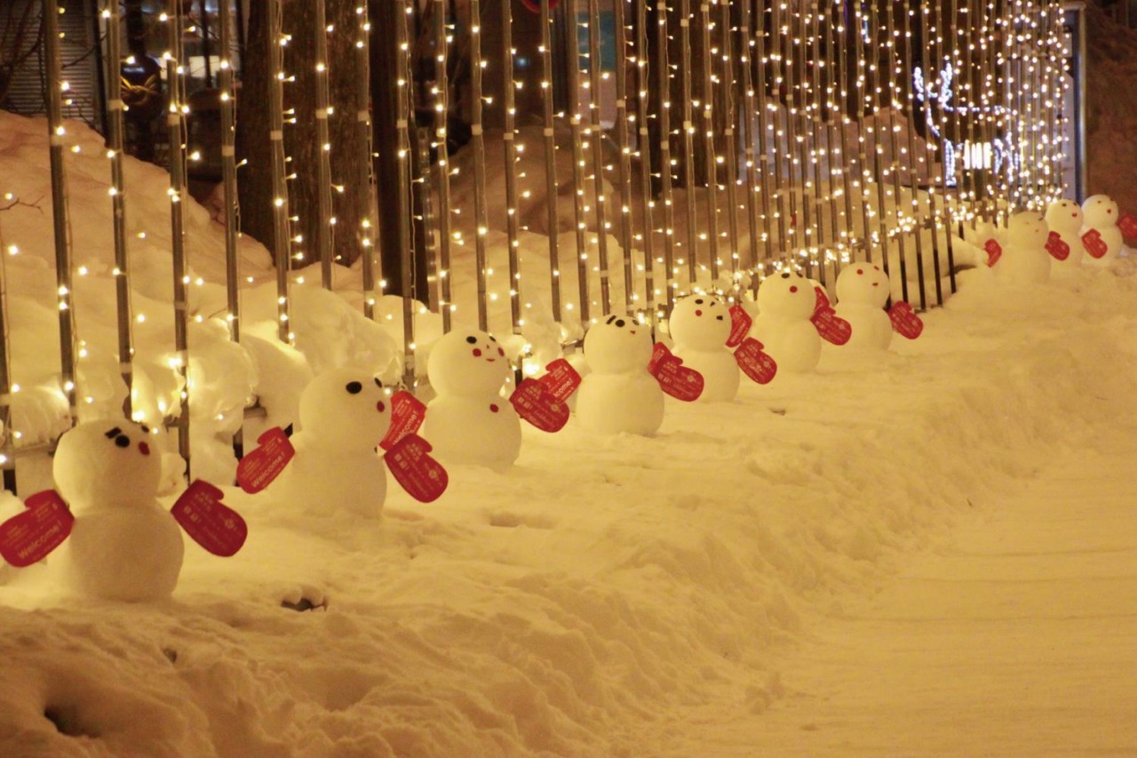 第65回旭川冬まつり雪像紹介 - 旭川冬まつり公式サイト