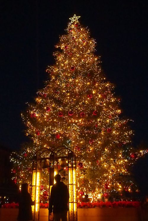 冬季限定！和歌山のイルミネーション・ライトアップ7選 2024ｰ2025冬 特集和歌山県公式観光サイト