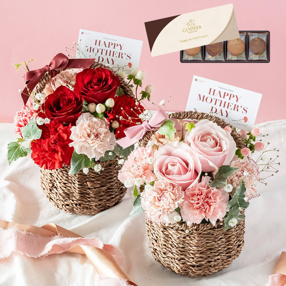 母の日 花とスイーツ 花 鉢植え カーネーション 花鉢 プレゼント お菓子 スイーツお父さんお母さんに贈りたい,お母さんに感謝の気持ちを安心と感動を送る！フラワーギフト 花のギフト社