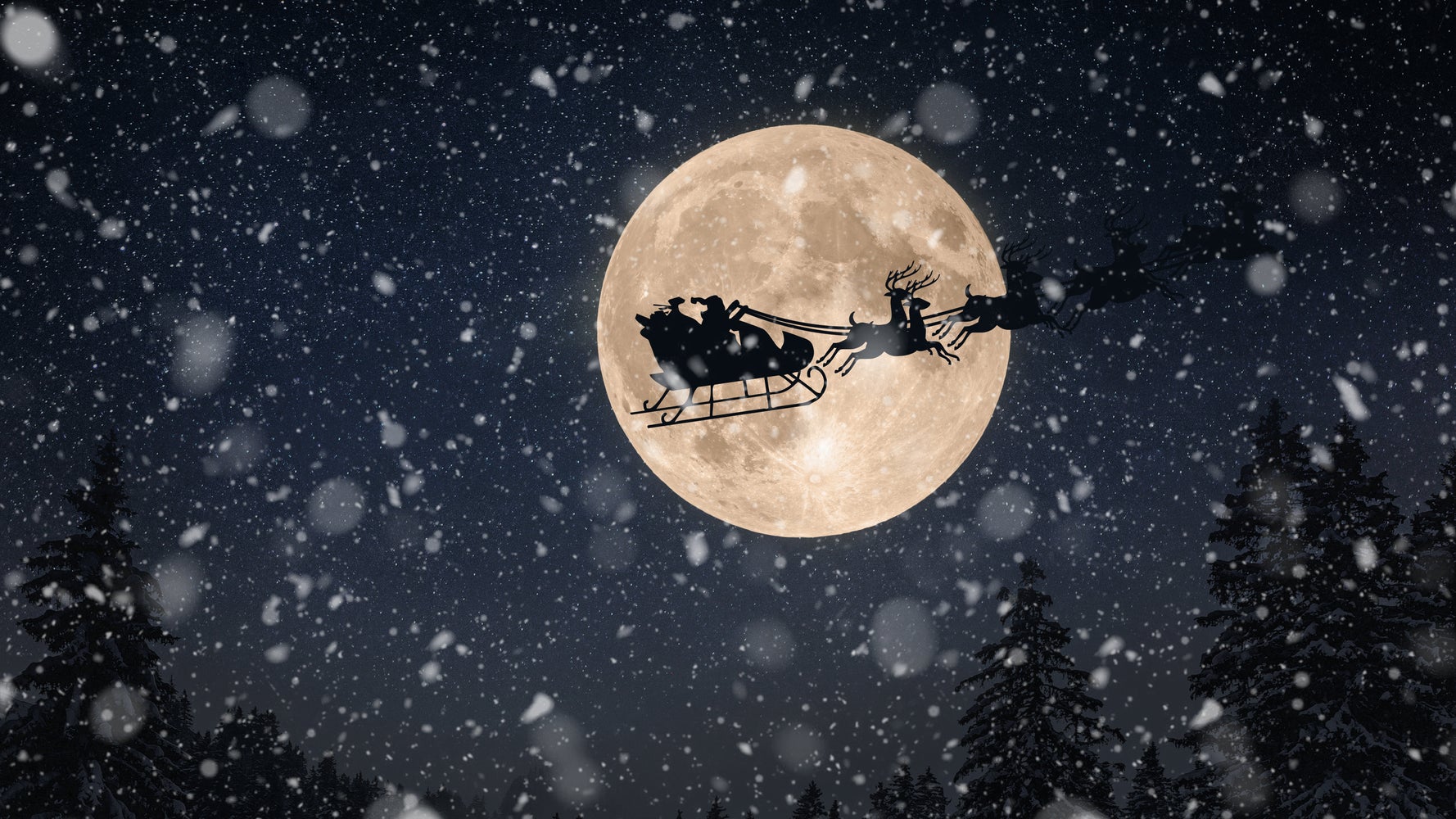 サンタクロースエクスプレス 予約時に注意すべきこととは 座席表あり