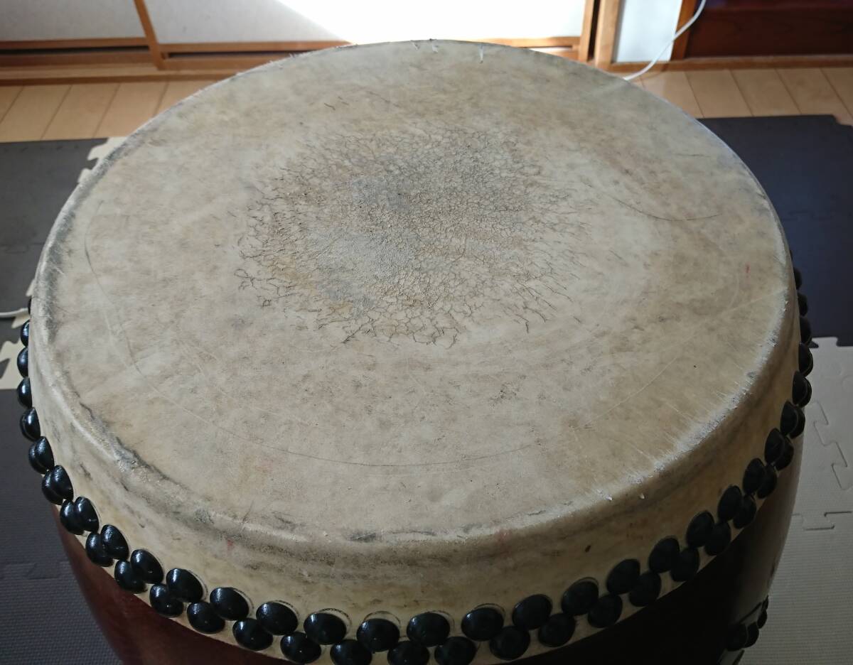 太鼓をこよなく愛する太鼓集団 「どんしらす」の演奏に乗せてフリースタイル盆踊りの輪が始まりました。, アースガーデン“夏”ヨルイチ 2025,フリースタイル盆踊り盆踊りエキゾ盆どんしらす