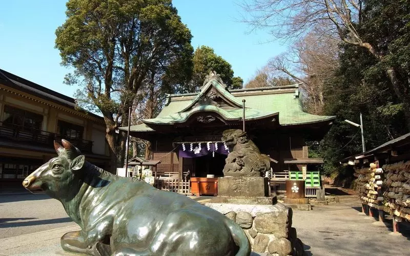 立川と八王子を通過する特急」運転へ “群馬と高尾直結 ”乗ったら開運？乗りものニュース