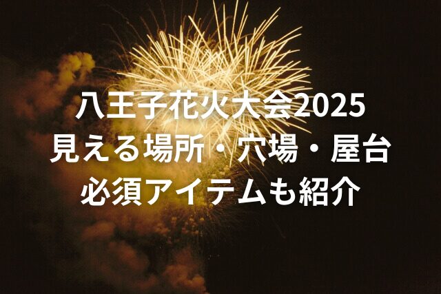 メッセージ花火を大切なあの人へ届けよう！＠鈴鹿げんき花火大会 田中 淳一 鈴鹿げんき花火大会の実行委員長2018 07 05 公開-クラウドファンディング READYFOR