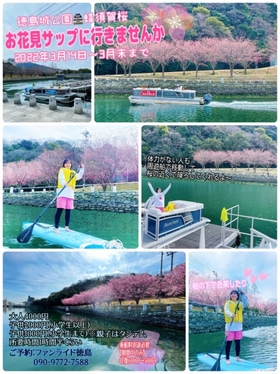 お花見春壁面飾り 工作ネタ しだれ桜 Weeping cherries ４月春壁面飾り