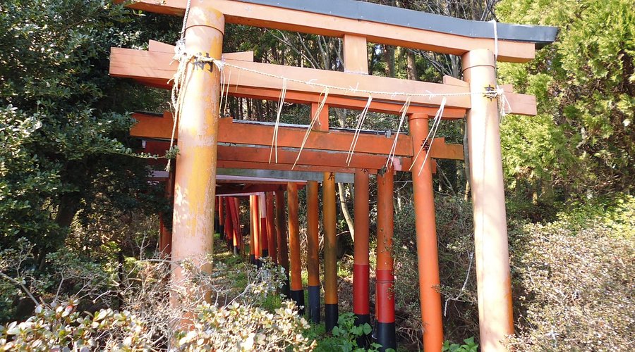 白赤稲荷神社 田浦大作町ジブリ映画に出てきそうな神聖な空気が流れる朱の鳥居のトンネル